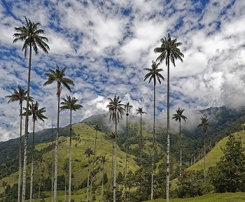 Colombia