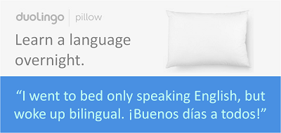 duolingo pillow