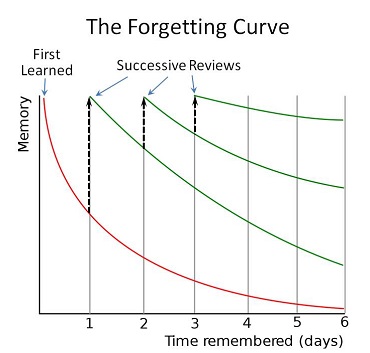 forgetting curve